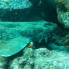 Picture taken during the dive