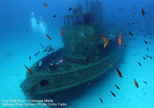Dive Malta Diving Centre - Dive Center in Malta