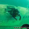 Picture taken during the dive