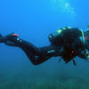 Picture taken during the dive