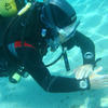 Picture taken during the dive