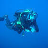 Picture taken during the dive