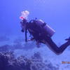 Picture taken during the dive
