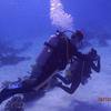 Picture taken during the dive