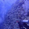 Picture taken during the dive