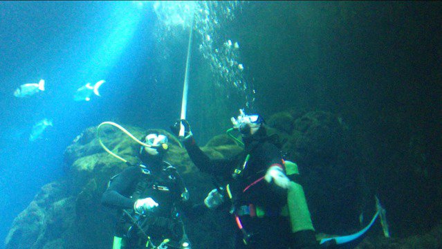 Diving in Kuwait, scientific center - By Rami