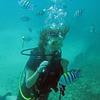 Picture taken during the dive