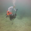 Picture taken during the dive