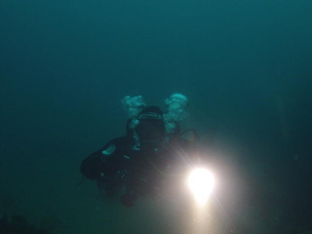 Dive Charters Gibraltar - Dive Center in South Africa