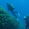 Picture taken during the dive