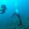 Picture taken during the dive