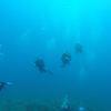 Picture taken during the dive