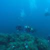 Picture taken during the dive