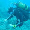 Picture taken during the dive