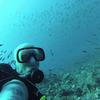 Picture taken during the dive