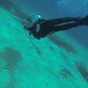 Picture taken during the dive