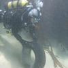 Picture taken during the dive