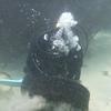 Picture taken during the dive