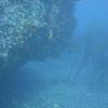 Picture taken during the dive
