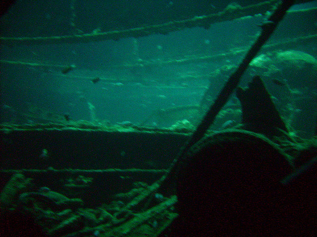 Diving World Red Sea - Dive Center