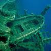 Picture taken during the dive