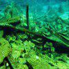 Picture taken during the dive