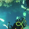 Picture taken during the dive