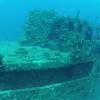 Picture taken during the dive
