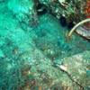 Picture taken during the dive