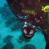 Picture taken during the dive
