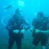 Picture taken during the dive