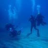 Picture taken during the dive