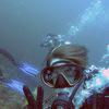 Picture taken during the dive