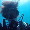 Picture taken during the dive