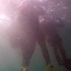 Picture taken during the dive