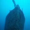 Picture taken during the dive