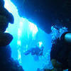 Picture taken during the dive