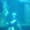 Picture taken during the dive