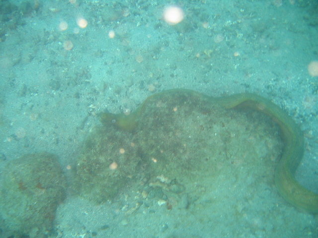 Tienda De Buceo El Rodadero - Dive Center in Colombia
