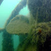 Picture taken during the dive