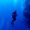 Picture taken during the dive