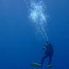Picture taken during the dive