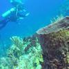 Picture taken during the dive