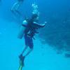 Picture taken during the dive