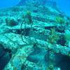 Picture taken during the dive