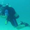 Picture taken during the dive