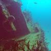 Picture taken during the dive