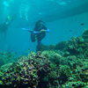 Picture taken during the dive