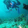 Picture taken during the dive
