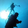 Picture taken during the dive